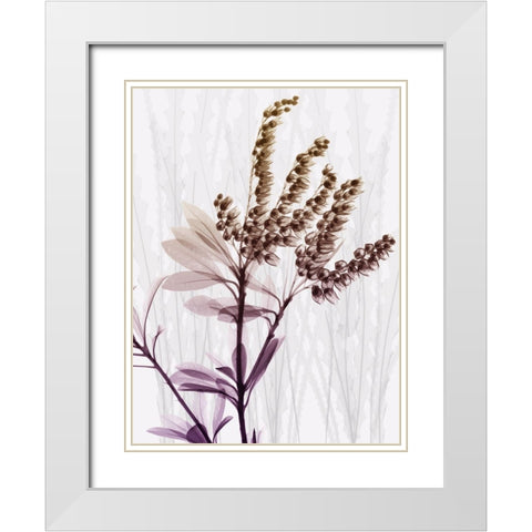 Radiant Snowdrops 2 White Modern Wood Framed Art Print with Double Matting by Koetsier, Albert