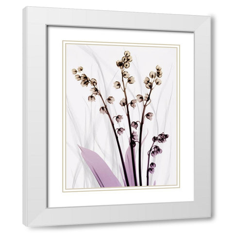 Radiant Snowdrops 3 White Modern Wood Framed Art Print with Double Matting by Koetsier, Albert