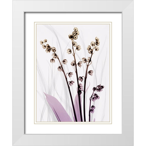 Radiant Snowdrops 3 White Modern Wood Framed Art Print with Double Matting by Koetsier, Albert