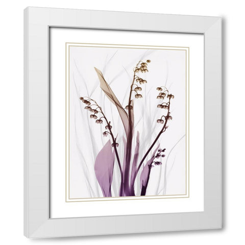 Radiant Snowdrops 4 White Modern Wood Framed Art Print with Double Matting by Koetsier, Albert