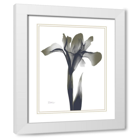 Ombre Olive Iris 1 White Modern Wood Framed Art Print with Double Matting by Koetsier, Albert