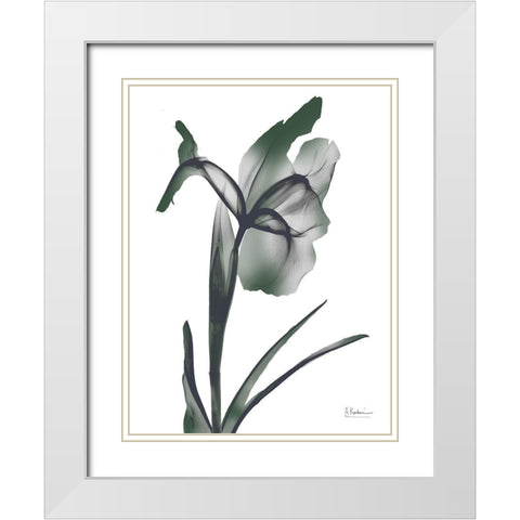 Ombre Jungle Iris 1 White Modern Wood Framed Art Print with Double Matting by Koetsier, Albert