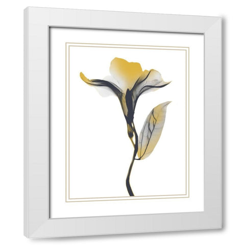 Ombre Sunshine Oleander 1 White Modern Wood Framed Art Print with Double Matting by Koetsier, Albert