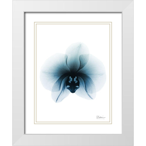 Glacial Orchid 1 RC White Modern Wood Framed Art Print with Double Matting by Koetsier, Albert