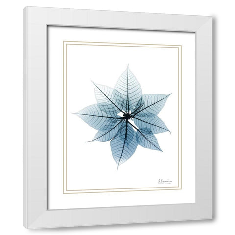 Iced Poinsettia 1 RC White Modern Wood Framed Art Print with Double Matting by Koetsier, Albert