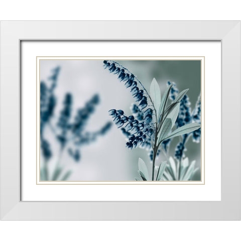 Unfocused Visions 2 White Modern Wood Framed Art Print with Double Matting by Koetsier, Albert