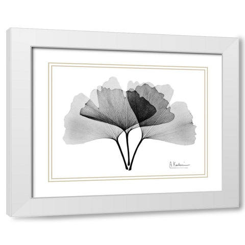 Inverted Ginko 2 White Modern Wood Framed Art Print with Double Matting by Koetsier, Albert