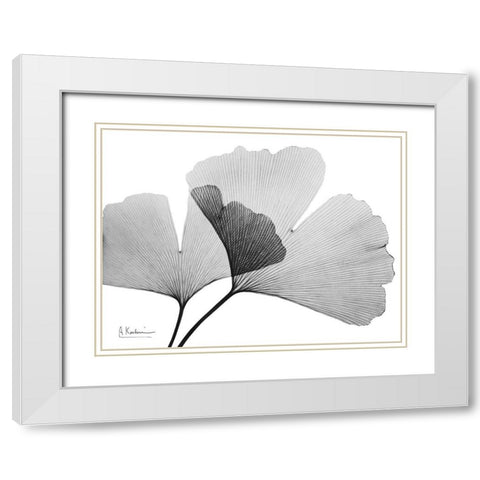 Inverted Ginko 3 White Modern Wood Framed Art Print with Double Matting by Koetsier, Albert