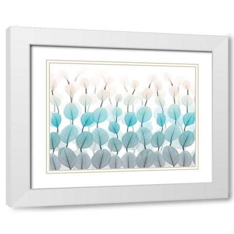 Spring Skyward 1 White Modern Wood Framed Art Print with Double Matting by Koetsier, Albert