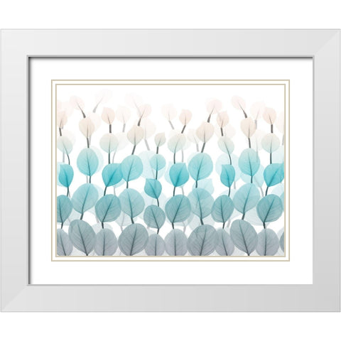 Spring Skyward 1 White Modern Wood Framed Art Print with Double Matting by Koetsier, Albert