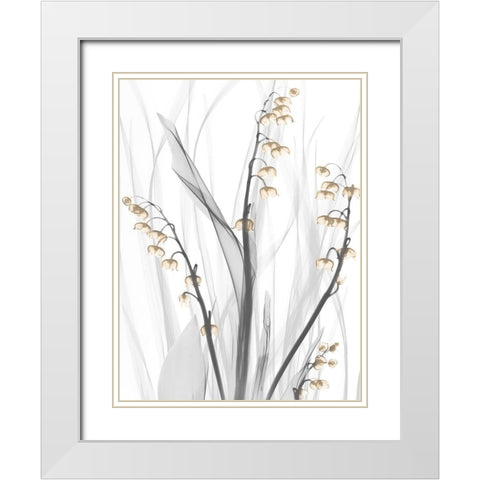 Delightful Oasis 3 White Modern Wood Framed Art Print with Double Matting by Koetsier, Albert