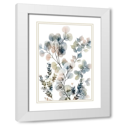 Vibrant Bouquet 2 White Modern Wood Framed Art Print with Double Matting by Koetsier, Albert