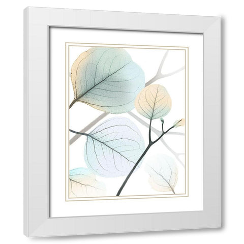 Sunkissed Eternity 1 White Modern Wood Framed Art Print with Double Matting by Koetsier, Albert