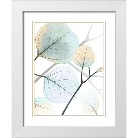 Sunkissed Eternity 1 White Modern Wood Framed Art Print with Double Matting by Koetsier, Albert