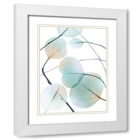 Sunkissed Eternity 2 White Modern Wood Framed Art Print with Double Matting by Koetsier, Albert