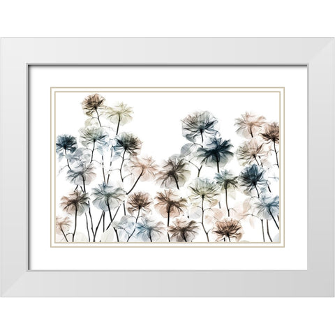 Energetic Flower Bed 1 White Modern Wood Framed Art Print with Double Matting by Koetsier, Albert