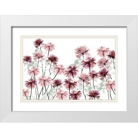 Magnificent Flower Bed 1 White Modern Wood Framed Art Print with Double Matting by Koetsier, Albert