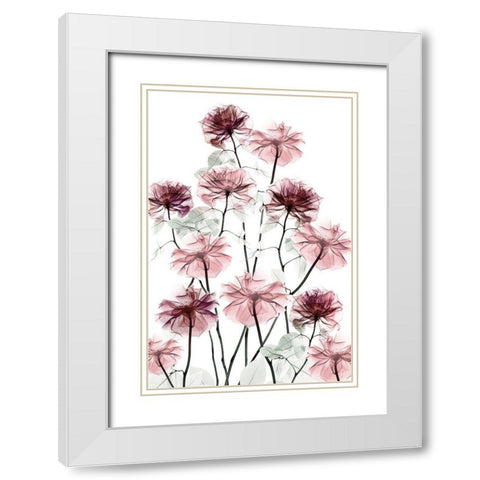 Magnificent Flower Bed 2 White Modern Wood Framed Art Print with Double Matting by Koetsier, Albert