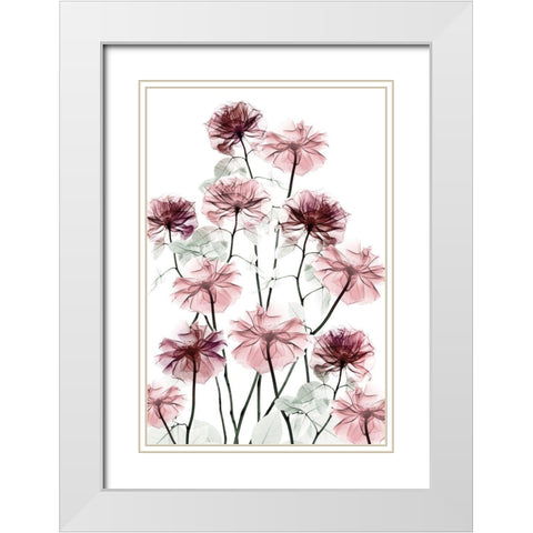Magnificent Flower Bed 2 White Modern Wood Framed Art Print with Double Matting by Koetsier, Albert