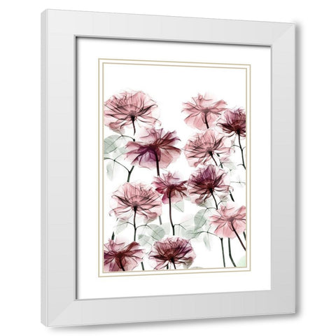 Magnificent Flower Bed 3 White Modern Wood Framed Art Print with Double Matting by Koetsier, Albert