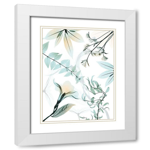 Reaching Beauty 1 White Modern Wood Framed Art Print with Double Matting by Koetsier, Albert