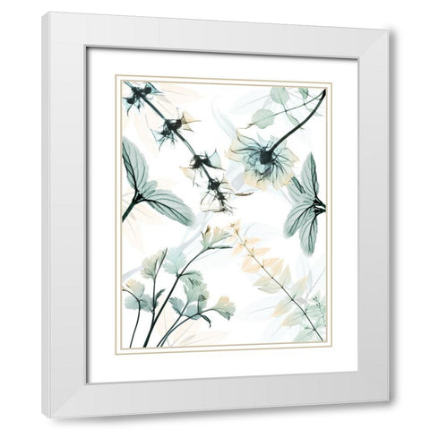 Reaching Beauty 2 White Modern Wood Framed Art Print with Double Matting by Koetsier, Albert