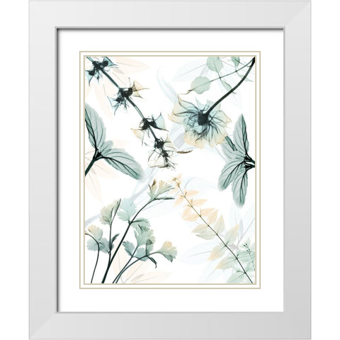 Reaching Beauty 2 White Modern Wood Framed Art Print with Double Matting by Koetsier, Albert