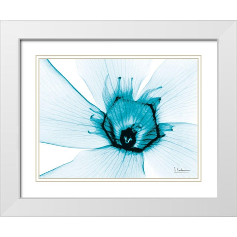 Aqua Oleander White Modern Wood Framed Art Print with Double Matting by Koetsier, Albert