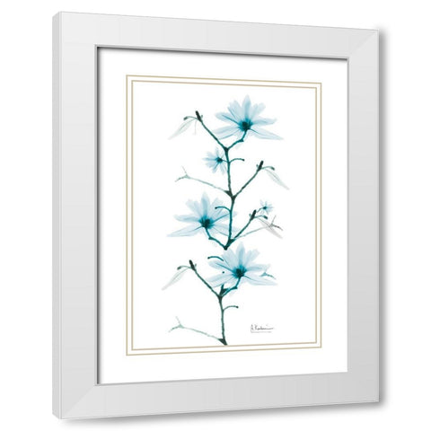 Aqua Beautiful Growth White Modern Wood Framed Art Print with Double Matting by Koetsier, Albert