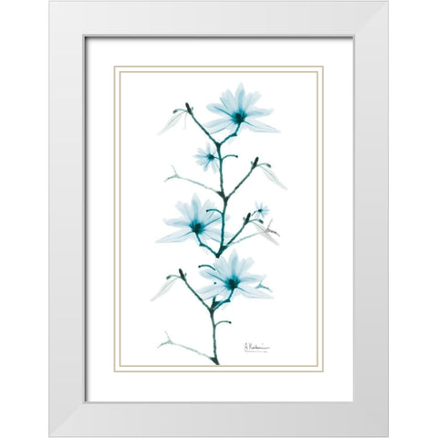 Aqua Beautiful Growth White Modern Wood Framed Art Print with Double Matting by Koetsier, Albert