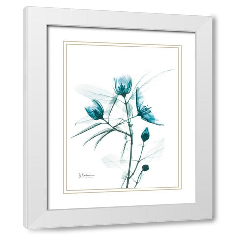 Aqua Beautiful Gowth 2 White Modern Wood Framed Art Print with Double Matting by Koetsier, Albert