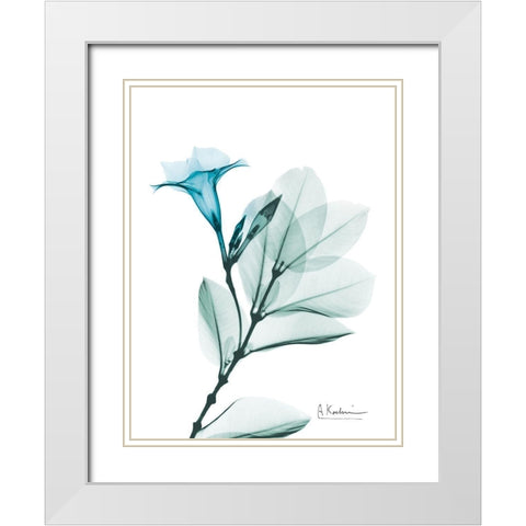 Aqua Mandelilla White Modern Wood Framed Art Print with Double Matting by Koetsier, Albert