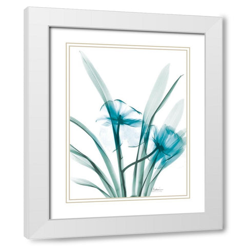 Aqua Dedrodium Orchid White Modern Wood Framed Art Print with Double Matting by Koetsier, Albert