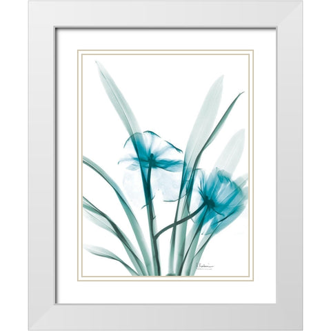 Aqua Dedrodium Orchid White Modern Wood Framed Art Print with Double Matting by Koetsier, Albert