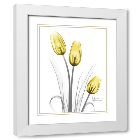 Illuminating Tulip Trio White Modern Wood Framed Art Print with Double Matting by Koetsier, Albert