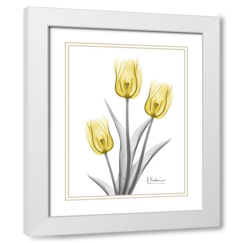 Illuminating Tulip Trio 2 White Modern Wood Framed Art Print with Double Matting by Koetsier, Albert