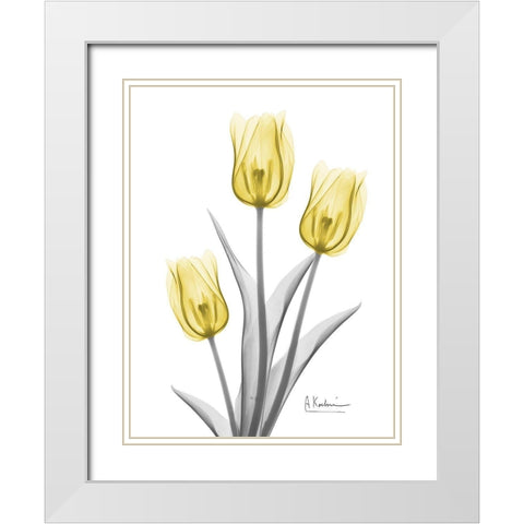 Illuminating Tulip Trio 2 White Modern Wood Framed Art Print with Double Matting by Koetsier, Albert