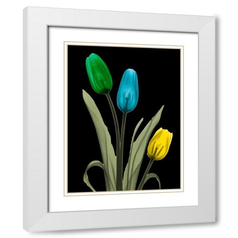 Jeweled Tulip Trio 3 White Modern Wood Framed Art Print with Double Matting by Koetsier, Albert