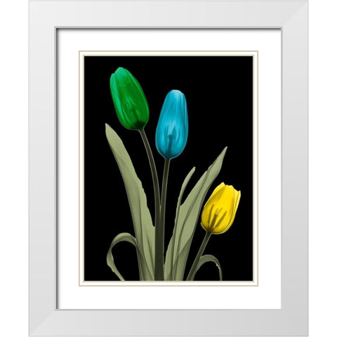 Jeweled Tulip Trio 3 White Modern Wood Framed Art Print with Double Matting by Koetsier, Albert