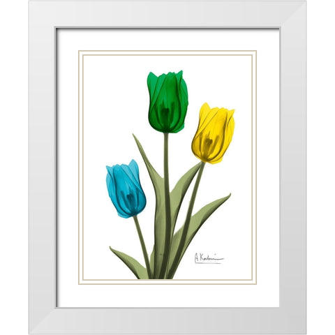 Jeweled Tulip Trio 2 White Modern Wood Framed Art Print with Double Matting by Koetsier, Albert