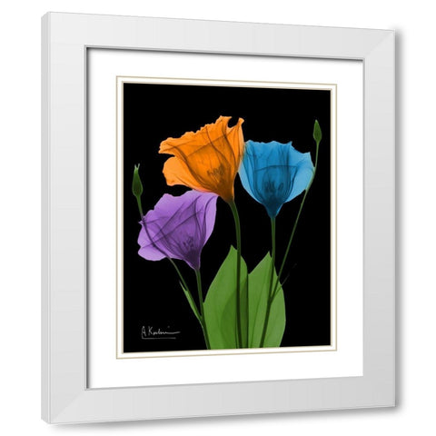 Jewel Gentian Buddies 3 White Modern Wood Framed Art Print with Double Matting by Koetsier, Albert