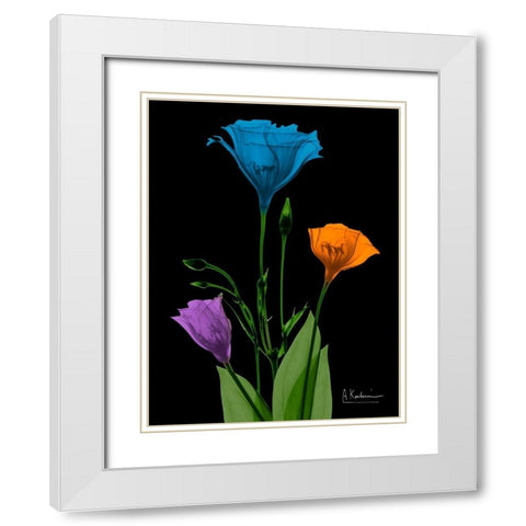 Jewel Gentian Buddies 4 White Modern Wood Framed Art Print with Double Matting by Koetsier, Albert