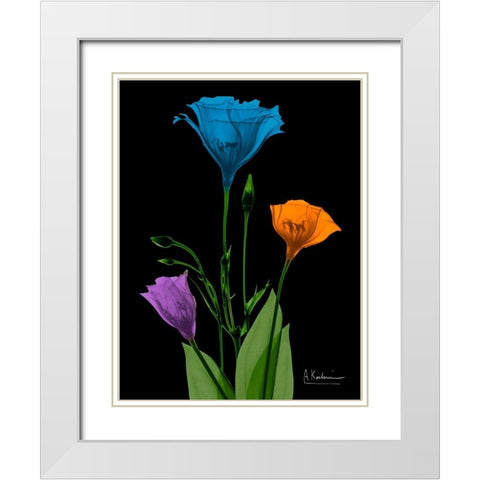 Jewel Gentian Buddies 4 White Modern Wood Framed Art Print with Double Matting by Koetsier, Albert