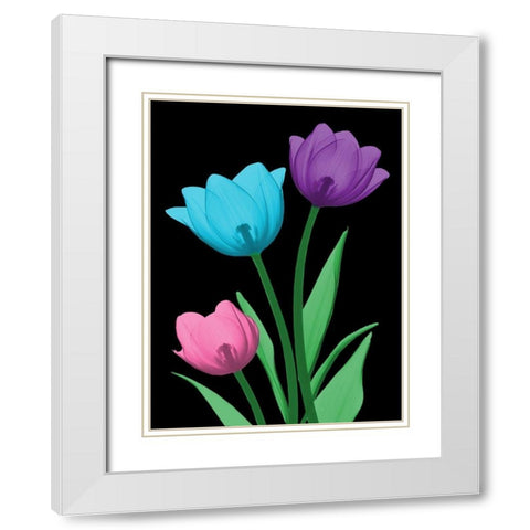 Shiny Tulips 3 White Modern Wood Framed Art Print with Double Matting by Koetsier, Albert