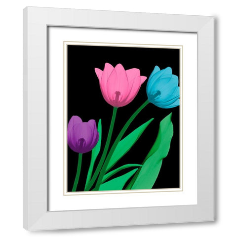 Shiny Tulips 4 White Modern Wood Framed Art Print with Double Matting by Koetsier, Albert