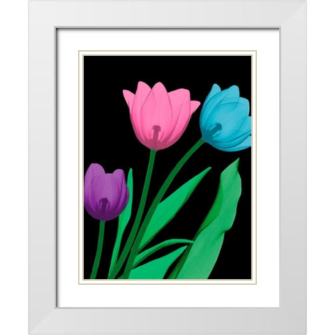 Shiny Tulips 4 White Modern Wood Framed Art Print with Double Matting by Koetsier, Albert