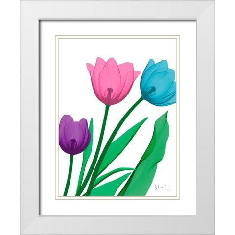 Shiny Tulips 2 White Modern Wood Framed Art Print with Double Matting by Koetsier, Albert