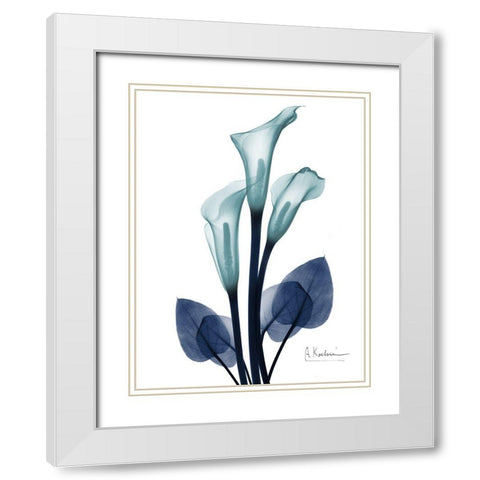 Midnight Calla Lily 1 White Modern Wood Framed Art Print with Double Matting by Koetsier, Albert