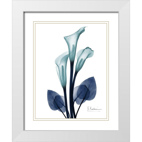 Midnight Calla Lily 1 White Modern Wood Framed Art Print with Double Matting by Koetsier, Albert