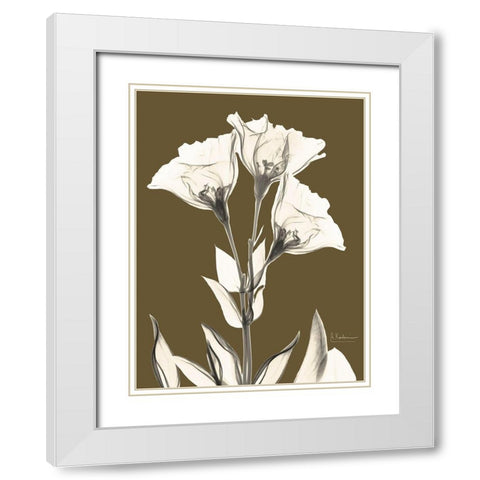 Gentian Fall White Modern Wood Framed Art Print with Double Matting by Koetsier, Albert